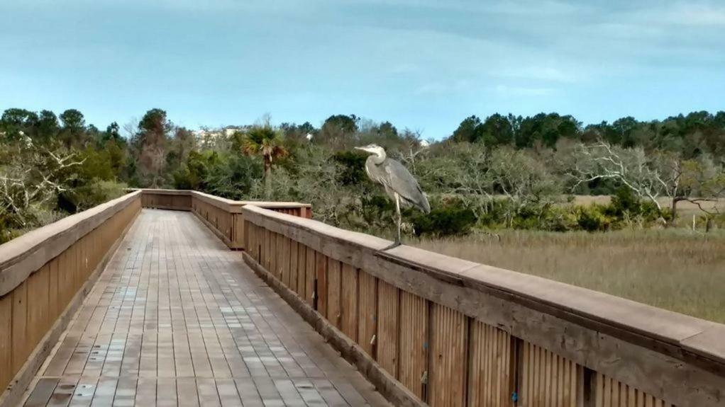 Hilton Head Resort Хилтон-Хед-Айленд Экстерьер фото